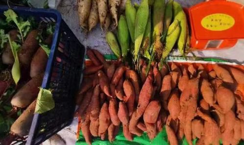 審計(jì)人助力打通農(nóng)副產(chǎn)品產(chǎn)銷對(duì)接最后一公里