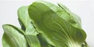 東莞農(nóng)副產(chǎn)品智能配送中心全面啟動(dòng) 高效服務(wù)惠及超兩萬(wàn)居民