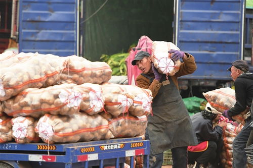 寒潮將至，備貨先行——太原河西市場(chǎng)全力保障市民“菜籃子”供應(yīng)
